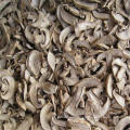 Dried Agaricus Bisporus Slice Sliced Champignon Mushroom 500g